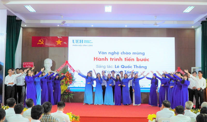 cá cược thể thao hul city